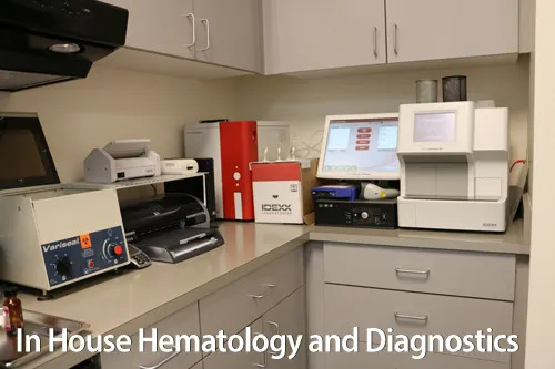 In House Hematology and Diagnostics room